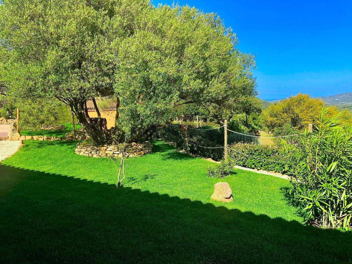Casagliana Suite Resort Όλμπια Εξωτερικό φωτογραφία