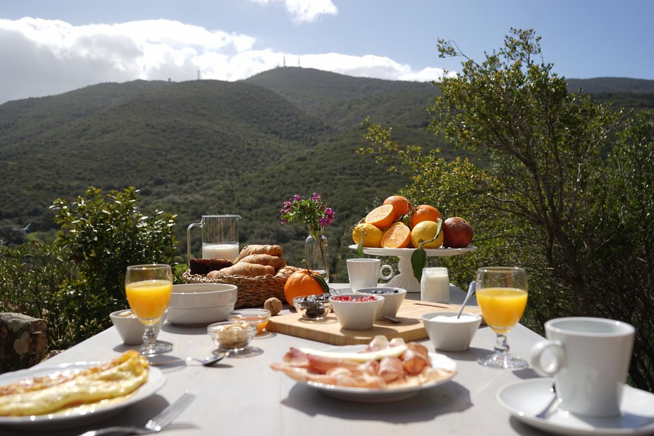 Casagliana Suite Resort Όλμπια Εξωτερικό φωτογραφία