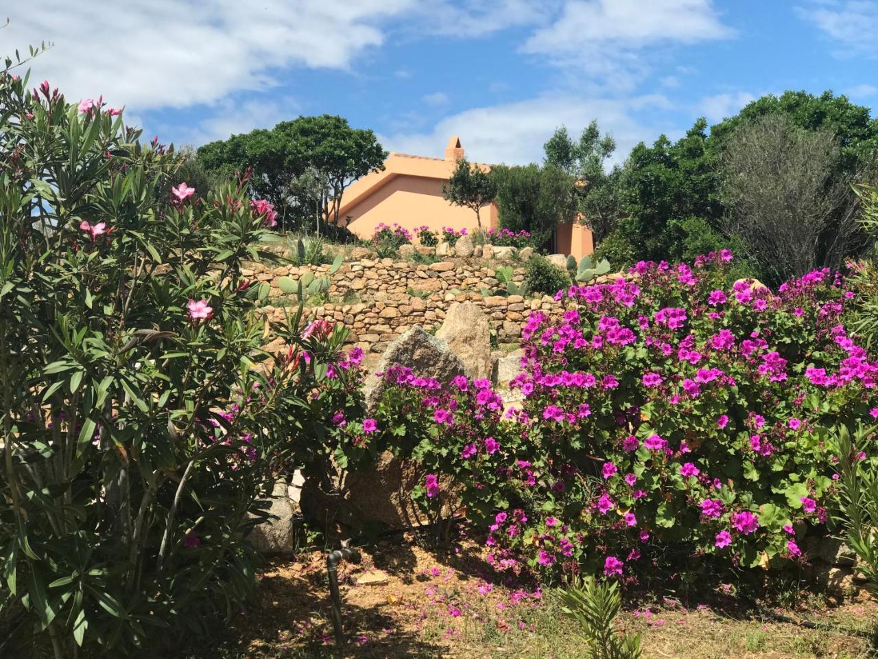 Casagliana Suite Resort Όλμπια Εξωτερικό φωτογραφία